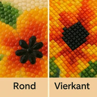 Diamond Painting Steentjes - Glittercraft