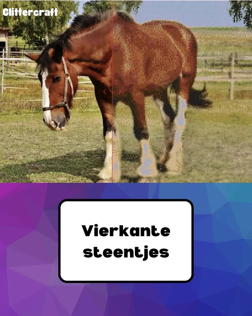 Diamond Painting Eigen Foto - Upload Jouw Eigen Foto - Glittercraft